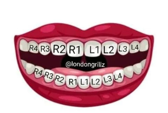 Two Sharp Fangs & Two Solid Caps